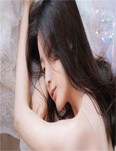 龙门飞甲高清