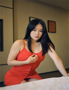李卫辞官电视剧