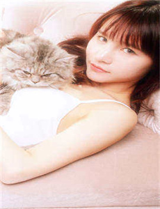 怨灵 电影
