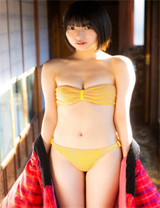 2012手机