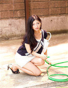 新红楼梦电视剧